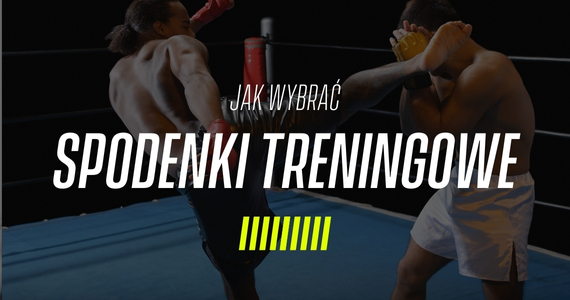 Spodenki do sportów walki: MMA, BJJ, Muay Thai, boks i kickboxing - kompletna ściąga przed zakupem