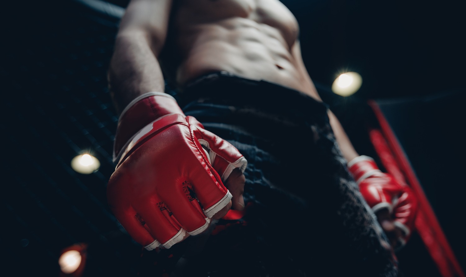 Boks czy MMA - jaki sport walki jest dla Ciebie?