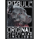 Bluza męska Crewneck Pit Bull Origin