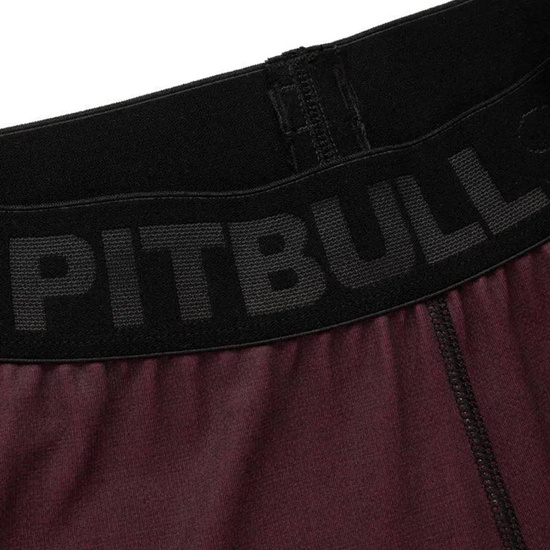 Legginsy męskie Pit Bull Hilltop