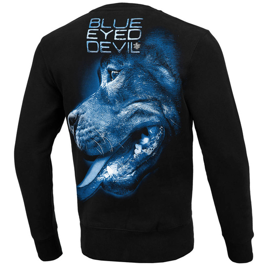 Bluza męska Crewneck Pit Bull Blue Eyed Devil X
