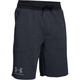 Spodenki męskie Under Armour Terry Fleece 1272417