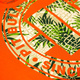 Koszulka męska Pit Bull Pineapple Logo