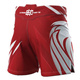 Spodenki męskie Extreme Hobby Athletic Polska Ultimate Biały